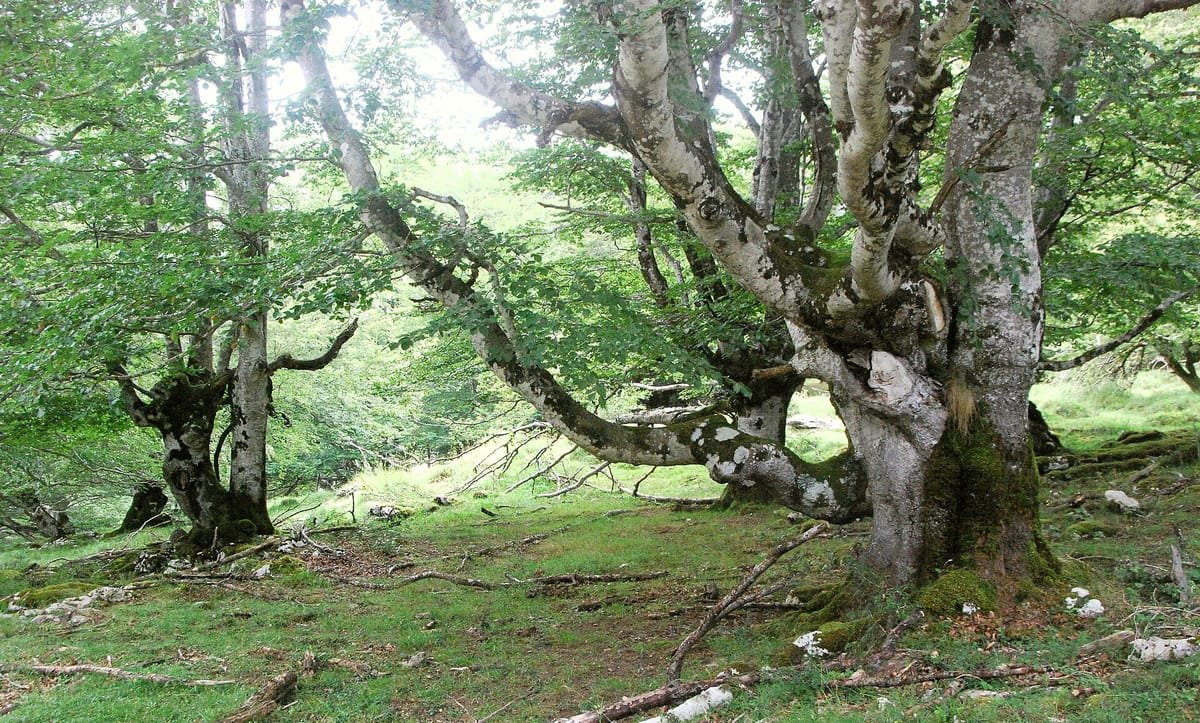 Eskoriatza (Gipuzkoa)